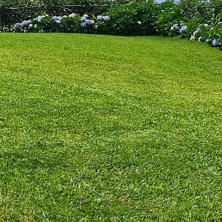 Recanto Florencas - Casa 3 Arco da Calheta