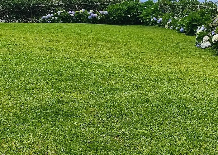 Recanto Florencas - Casa 3 Arco da Calheta (Madeira)